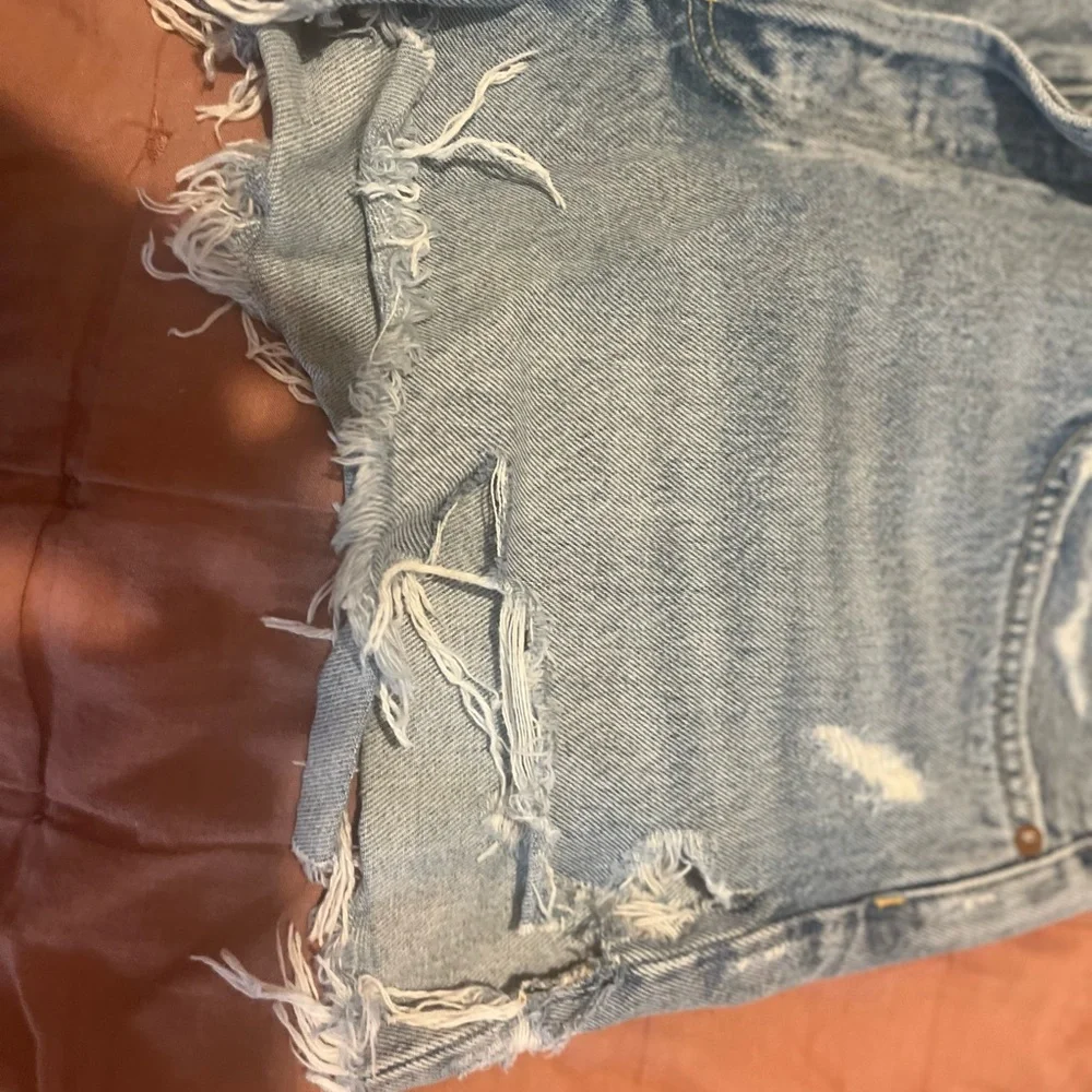 Agolde Parker Denim Jean Shorts